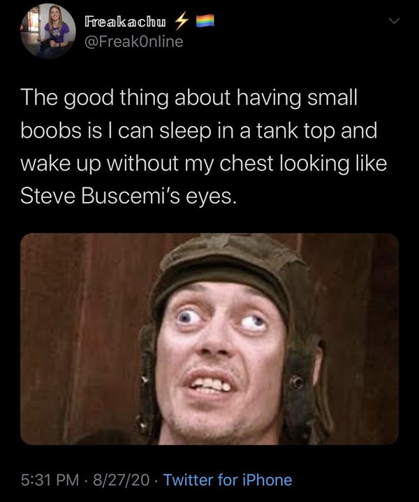 you can t make this stuff up meme - Freakachu The good thing about having small boobs is I can sleep in a tank top and wake up without my chest looking Steve Buscemi's eyes. 14. 82720 Twitter for iPhone