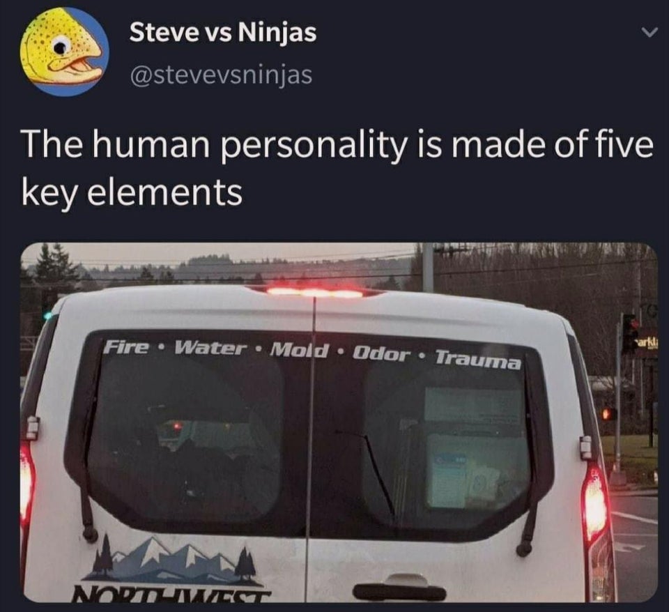 windshield - Steve vs Ninjas The human personality is made of five key elements Fire Water Mold Odor Trauma arkli Note