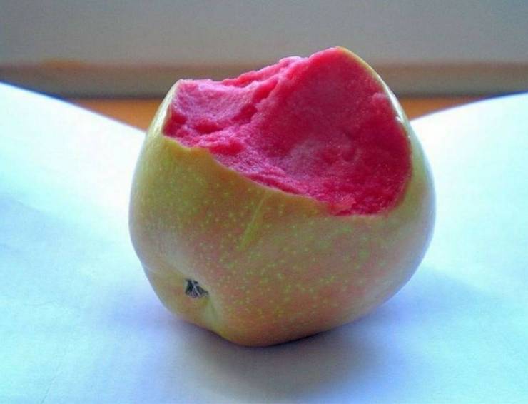 pink pearl apple