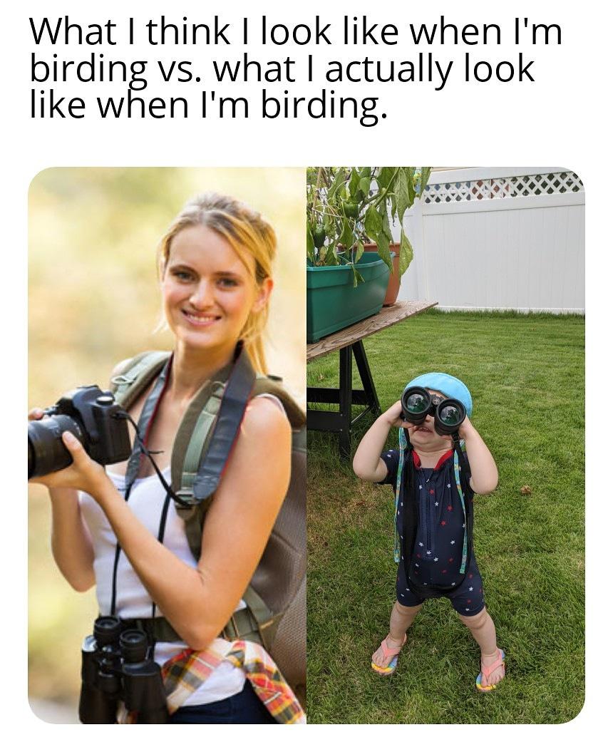 shoulder - What I think I look when I'm birding vs. what I actually look when I'm birding.