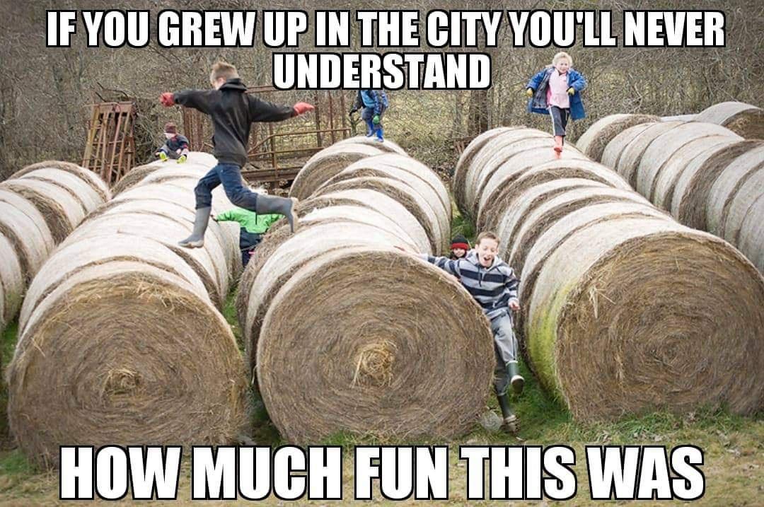 grass - Sen If You Grew Up In The City You'Ll Never Understand How Much Fun This Was