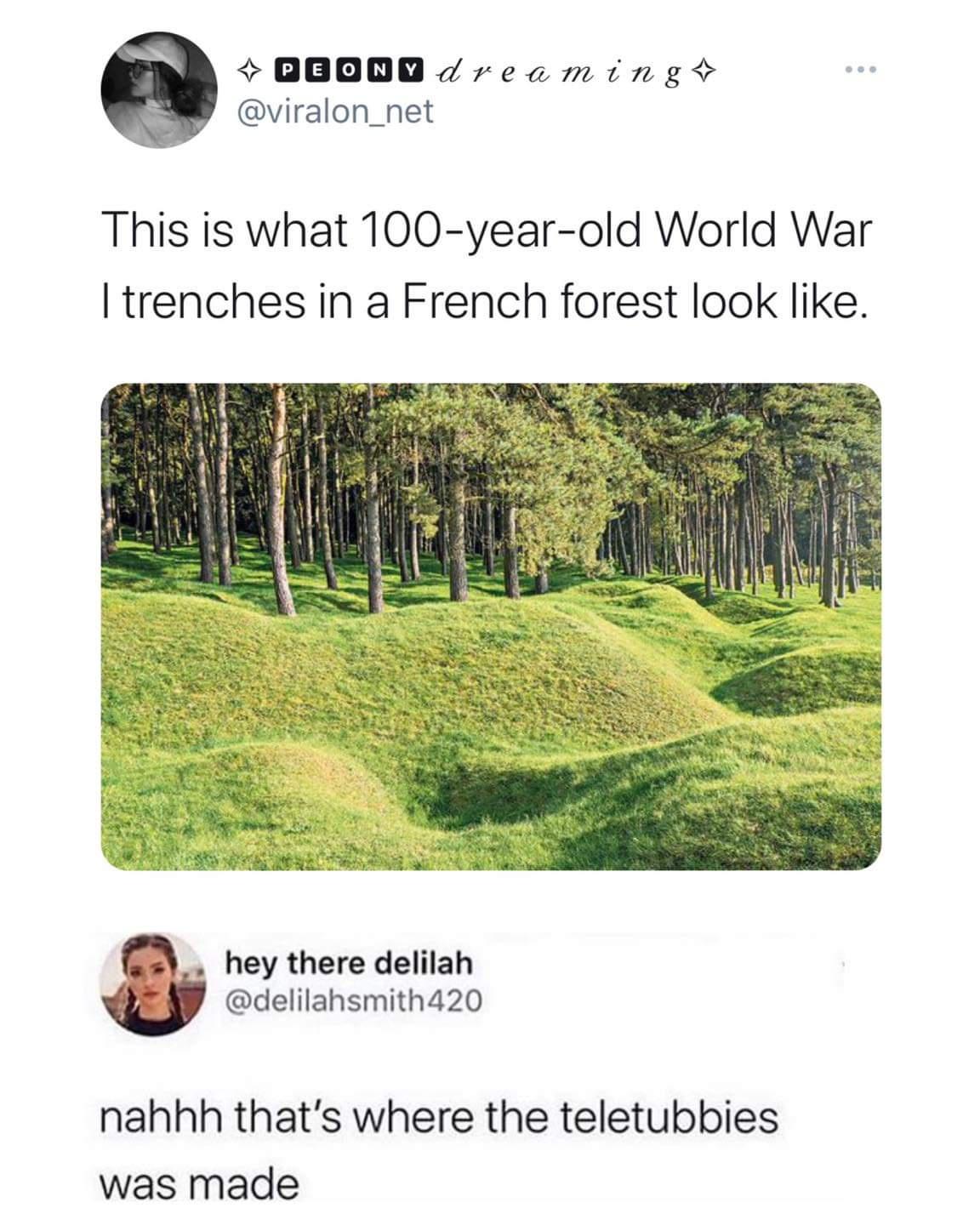 grass - Peonv dreaming This is what 100yearold World War I trenches in a French forest look . hey there delilah 420 nahhh that's where the teletubbies was made