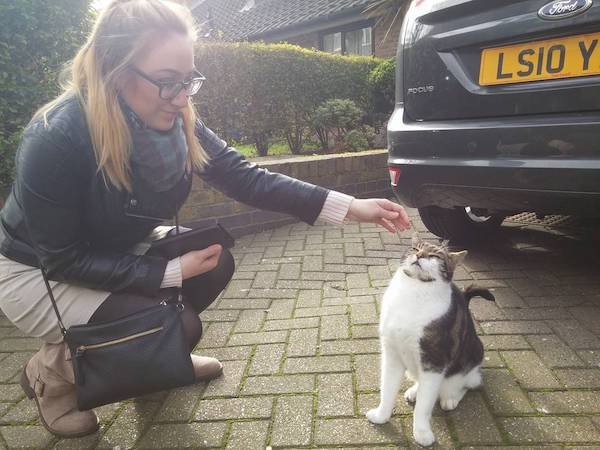 girlfriend failing to pet a cat