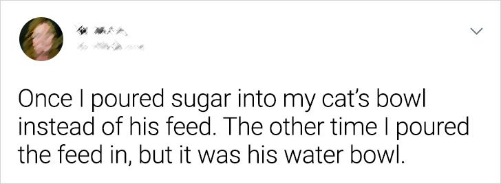 paper - Once I poured sugar into my cat's bowl instead of his feed. The other time I poured the feed in, but it was his water bowl.