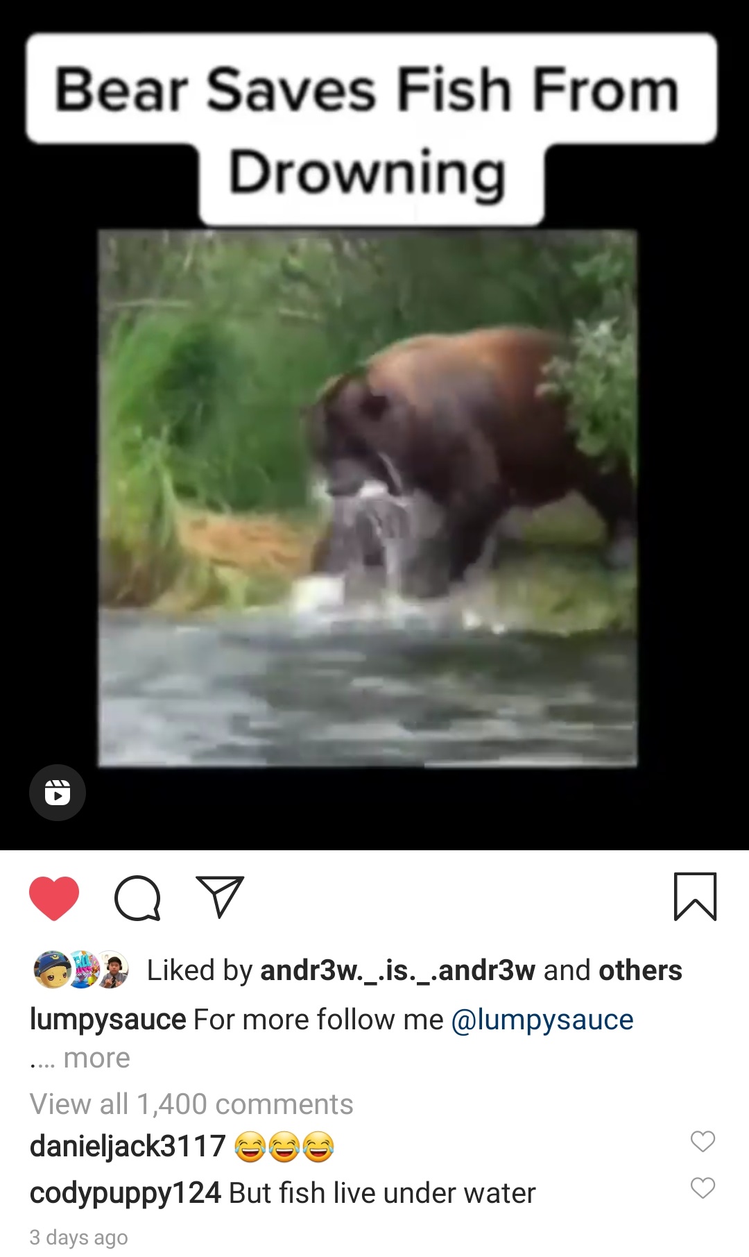 bear saves fish from drowning - Bear Saves Fish From Drowning Q B d by andr3w._.is._.andr3w and others lumpysauce For more me more View all 1,400 danieljack3117 codypuppy124 But fish live under water 3 days ago