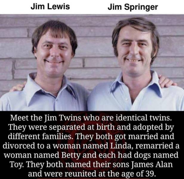 jim twins - Jim Lewis Jim Springer Meet the Jim Twins who are identical twins. They were separated at birth and adopted by different families. They both got married and divorced to a woman named Linda, remarried a woman named Betty and each had dogs named