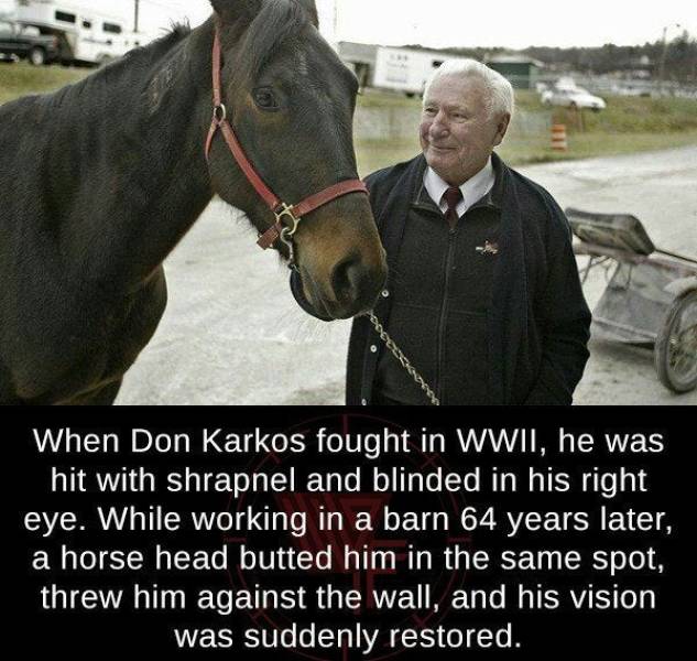 don karkos - When Don Karkos fought in Wwii, he was hit with shrapnel and blinded in his right eye. While working in a barn 64 years later, a horse head butted him in the same spot, threw him against the wall, and his vision was suddenly restored.