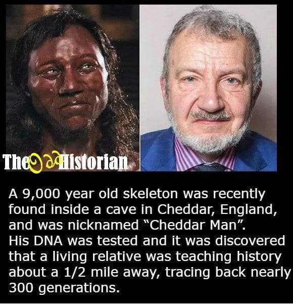 living cheddar man - Theo Historian A 9,000 year old skeleton was recently found inside a cave in Cheddar, England, and was nicknamed "Cheddar Man". His Dna was tested and it was discovered that a living relative was teaching history about a 12 mile away,