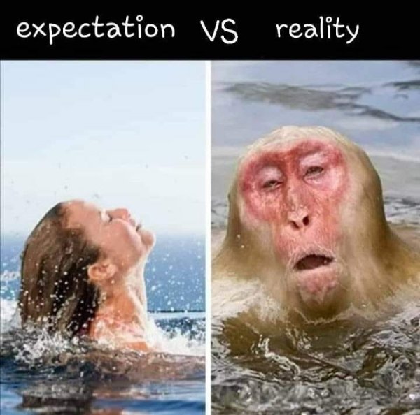 funny wet animals - expectation Vs reality