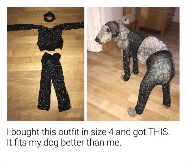 bought this outfit in size 4 and got This. It fits my dog better than me.