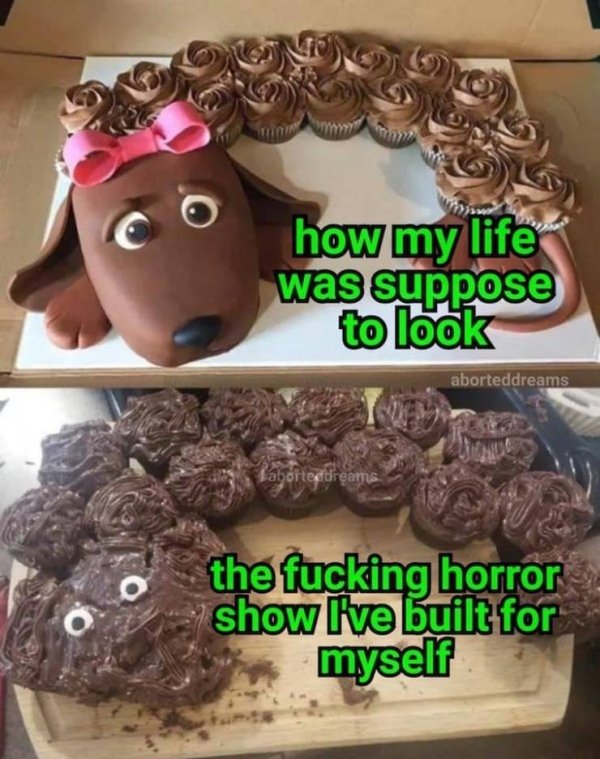 baking gone wrong - how my life was suppose to look aborteddreams Laborted dreams the fucking horror show live built for myself