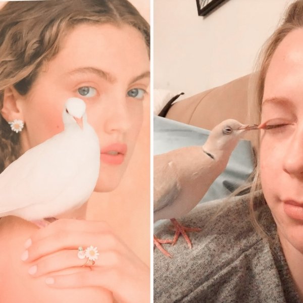 bird biting woman in the eye