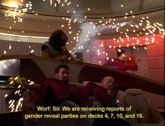 funny memes and random pics - tng memes - Be Worf Sir. We are receiving reports of gender reveal parties on decks 4, 7, 10, and 16.