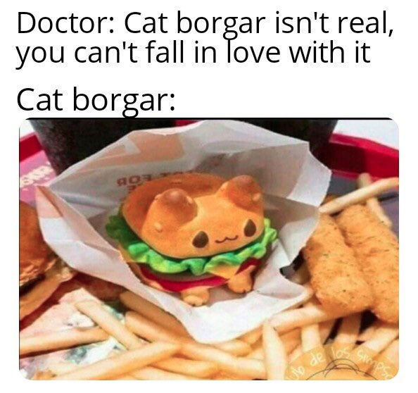 funny memes and random pics - cuteness overload meme - Doctor Cat borgar isn't real, you can't fall in love with it Cat borgar ag Somos Jo de