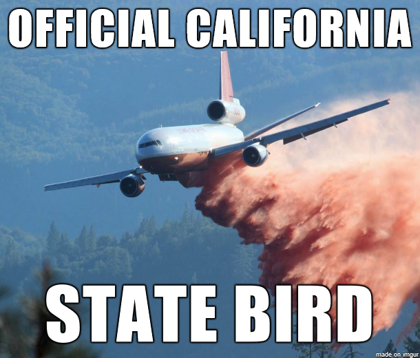 funny memes and random pics - es vedra island - Official California State Bird made on imgur