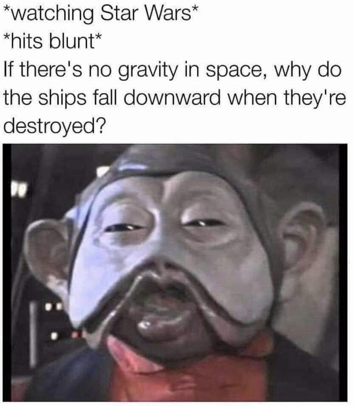 funny memes and random pics - nien nunb memes - watching Star Wars hits blunt If there's no gravity in space, why do the ships fall downward when they're destroyed?