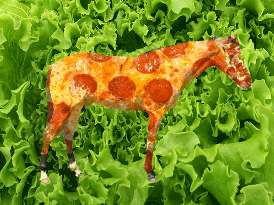 pizza horse