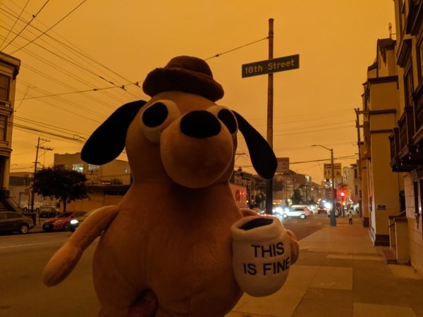 18th Street This Is Fine california fire