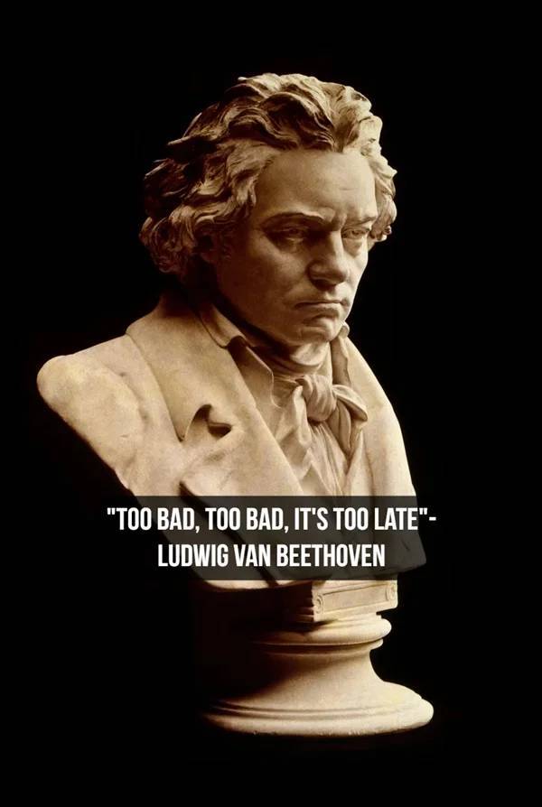 ludwig van beethoven - 'Too Bad, Too Bad, It'S Too Late' Ludwig Van Beethoven