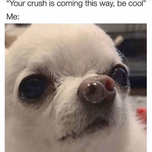 your crush is coming meme - "Your crush is coming this way, be cool" Me
