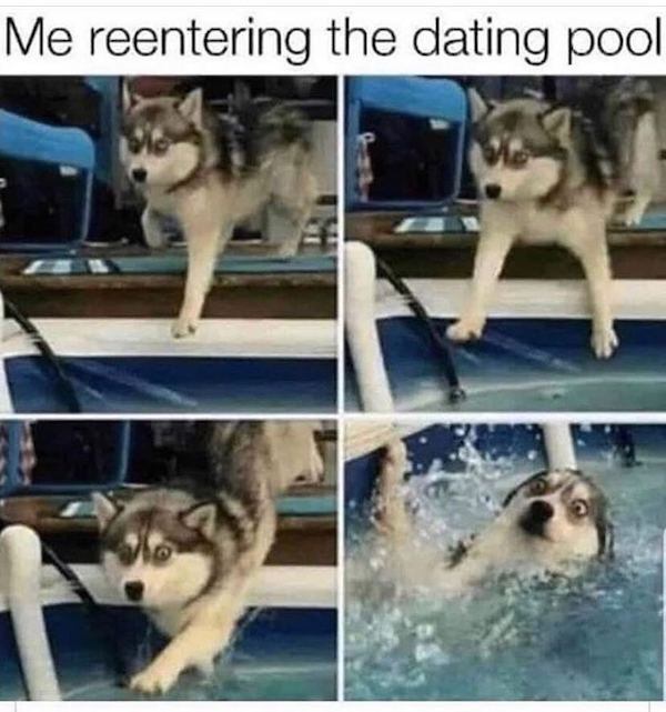 how's life going meme - Me reentering the dating pool