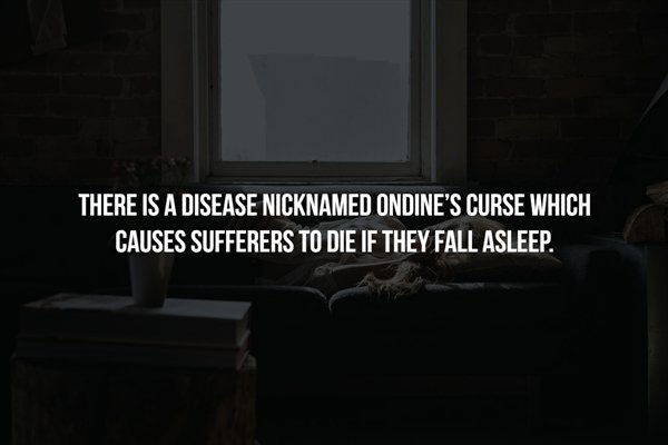 ayudin - There Is A Disease Nicknamed Ondine'S Curse Which Causes Sufferers To Die If They Fall Asleep.