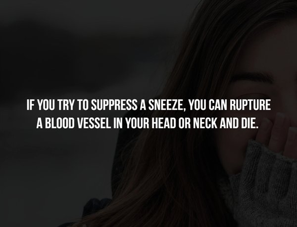 cnp professional - If You Try To Suppress A Sneeze, You Can Rupture A Blood Vessel In Your Head Or Neck And Die.