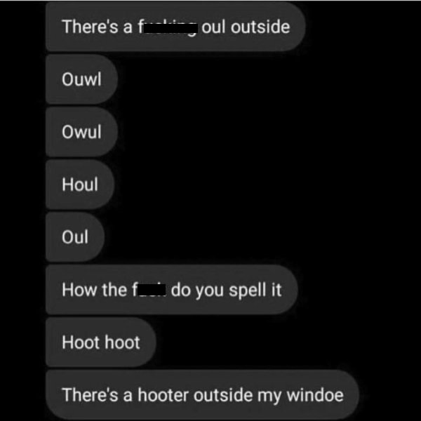 multimedia - There's a f oul outside Ouwl Owul Houl Oul How the f_ do you spell it Hoot hoot There's a hooter outside my windoe