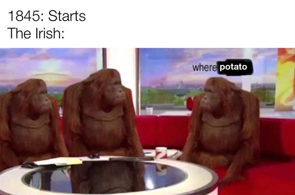 banana meme - 1845 Starts The Irish where potato