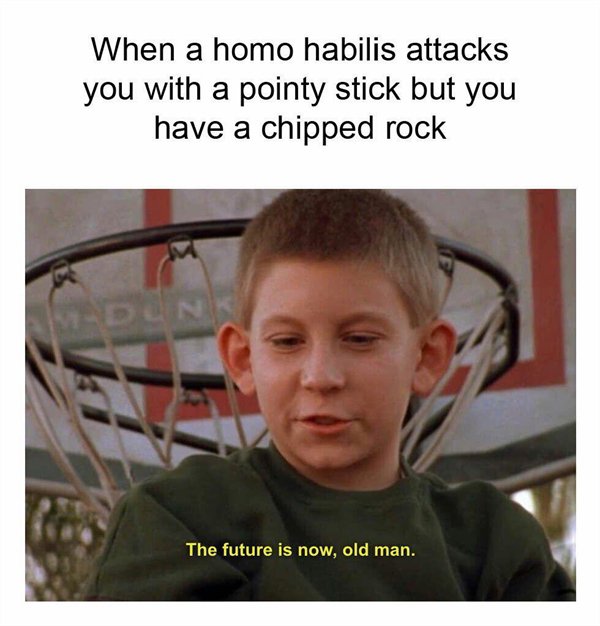 boomer remover meme - When a homo habilis attacks you with a pointy stick but you have a chipped rock Vedunk The future is now, old man.