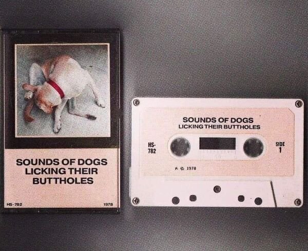don t doubt your vibe meme - Sounds Of Dogs Licking Their Buttholes Side Hs 782 # 1978 Sounds Of Dogs Licking Their Buttholes Hs782 1973
