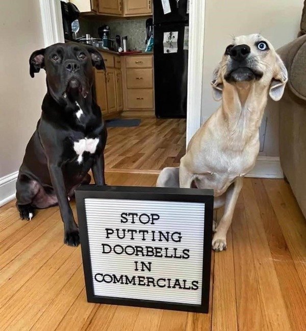 Stop Putting Doorbells In Commercials