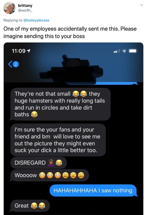 screenshot - brittany One of my employees accidentally sent me this. Please imagine sending this to your boss 1 2 They're not that small they huge hamsters with really long tails and run in circles and take dirt baths I'm sure the your fans and your frien