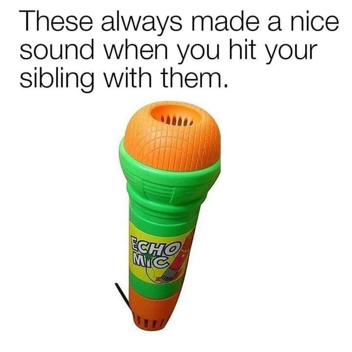 sibling memes - These always made a nice sound when you hit your sibling with them. Echo