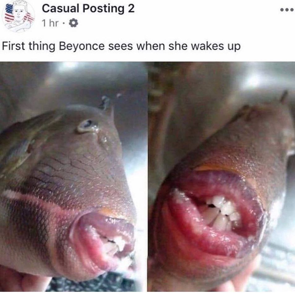 first thing beyonce sees when she wakes up - Casual Posting 2 1 hr.o First thing Beyonce sees when she wakes up
