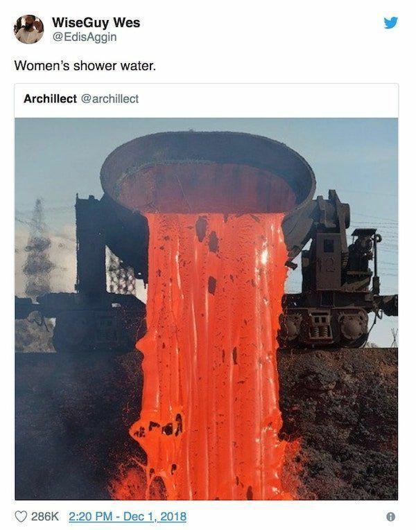 womans shower water meme - Wise Guy Wes Women's shower water. Archillect