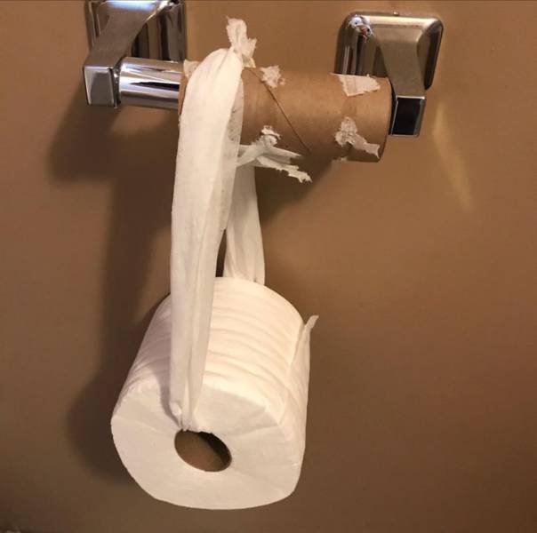 toilet paper roll change fail