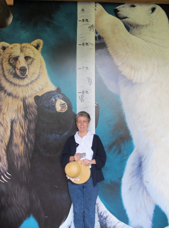 actual size of bears