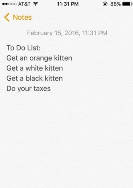 To Do List Get an orange kitten Get a white kitten Get a black kitten Do your taxes