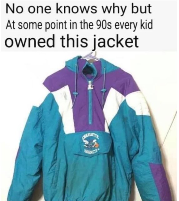 No one knows why but At some point in the 90s every kid owned this jacket
