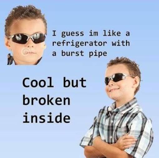 funny depressed memes - dscameling I guess im a refrigerator with a burst pipe Cool but broken inside