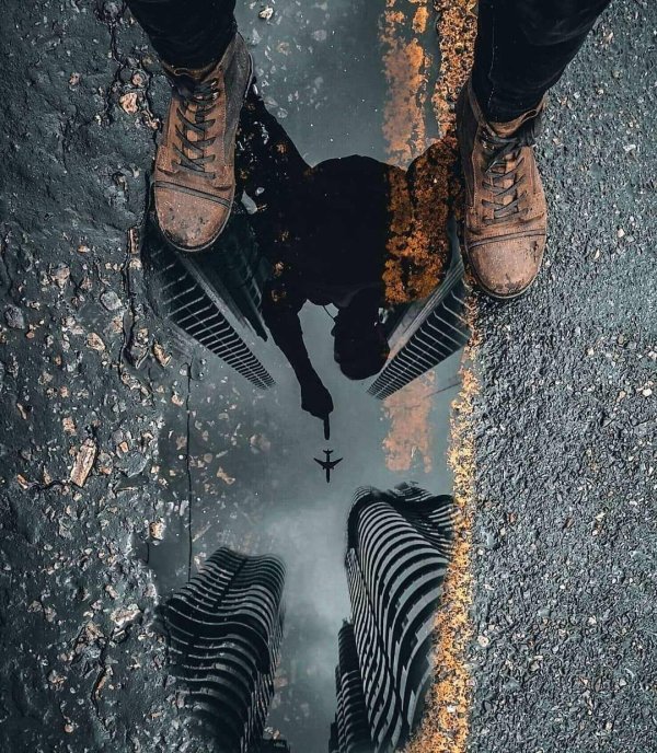 reflection in a puddle