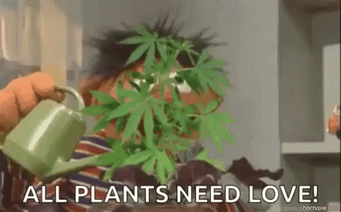funny muppet - All Plants Need Love! hornoxecut