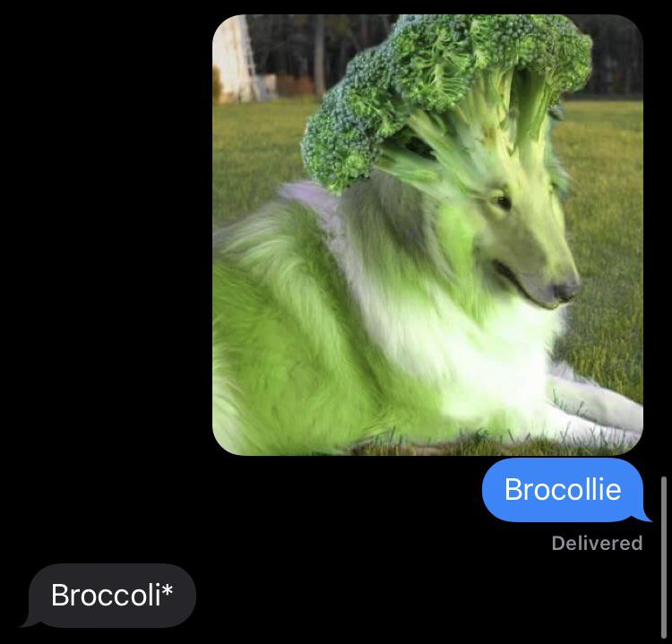 make no sense - Brocollie Delivered Broccoli