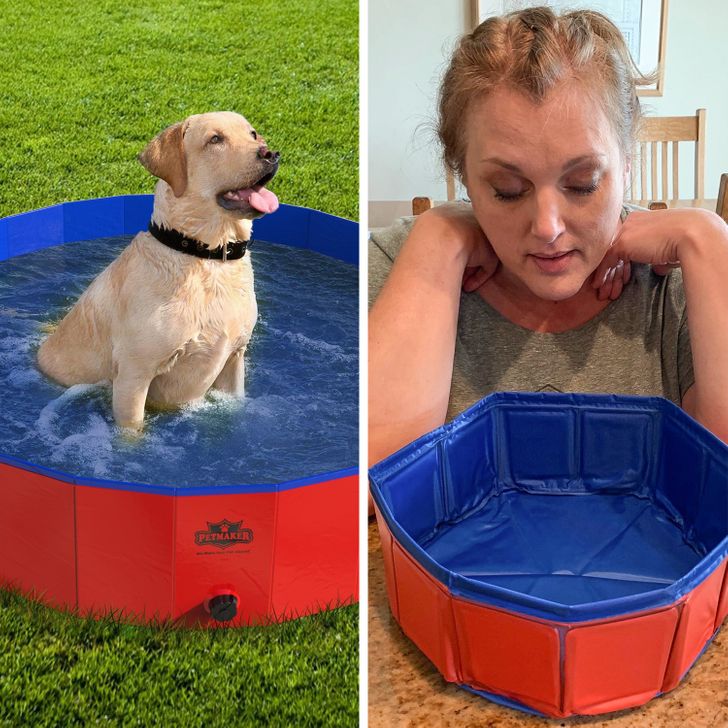 “Extra large” dog pool