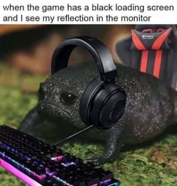 black rain frog meme - when the game has a black loading screen and I see my reflection in the monitor