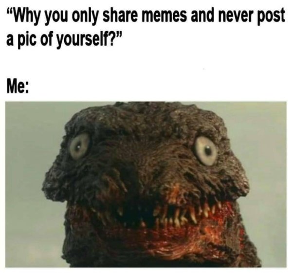 godzilla memes - "Why you only memes and never post a pic of yourself?" Me