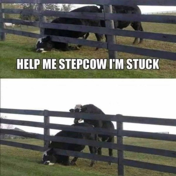 we all have days where we get - Help Me Stepcow I'M Stuck