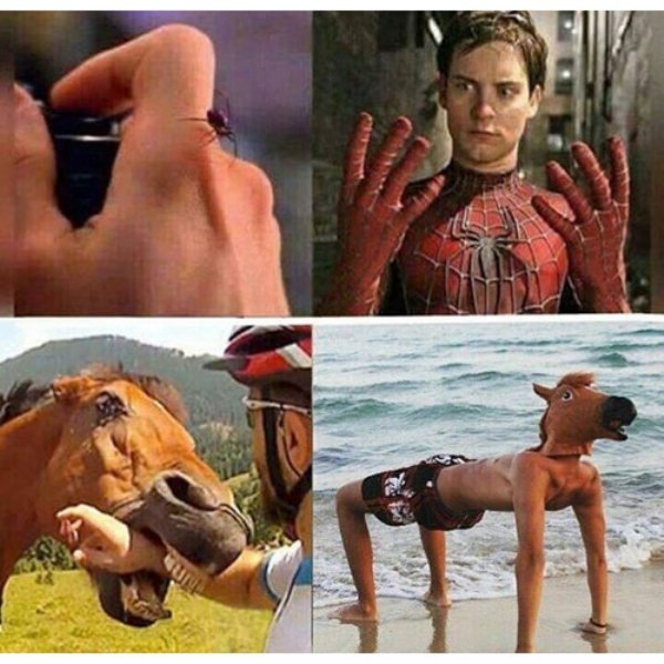 horse bite meme
