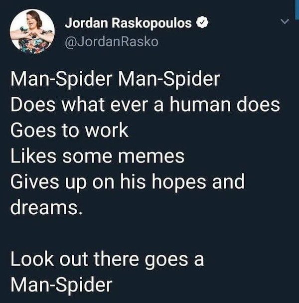 man spider meme - Jordan Raskopoulos ManSpider ManSpider Does what ever a human does Goes to work some memes Gives up on his hopes and dreams. Look out there goes a ManSpider